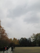 1046653